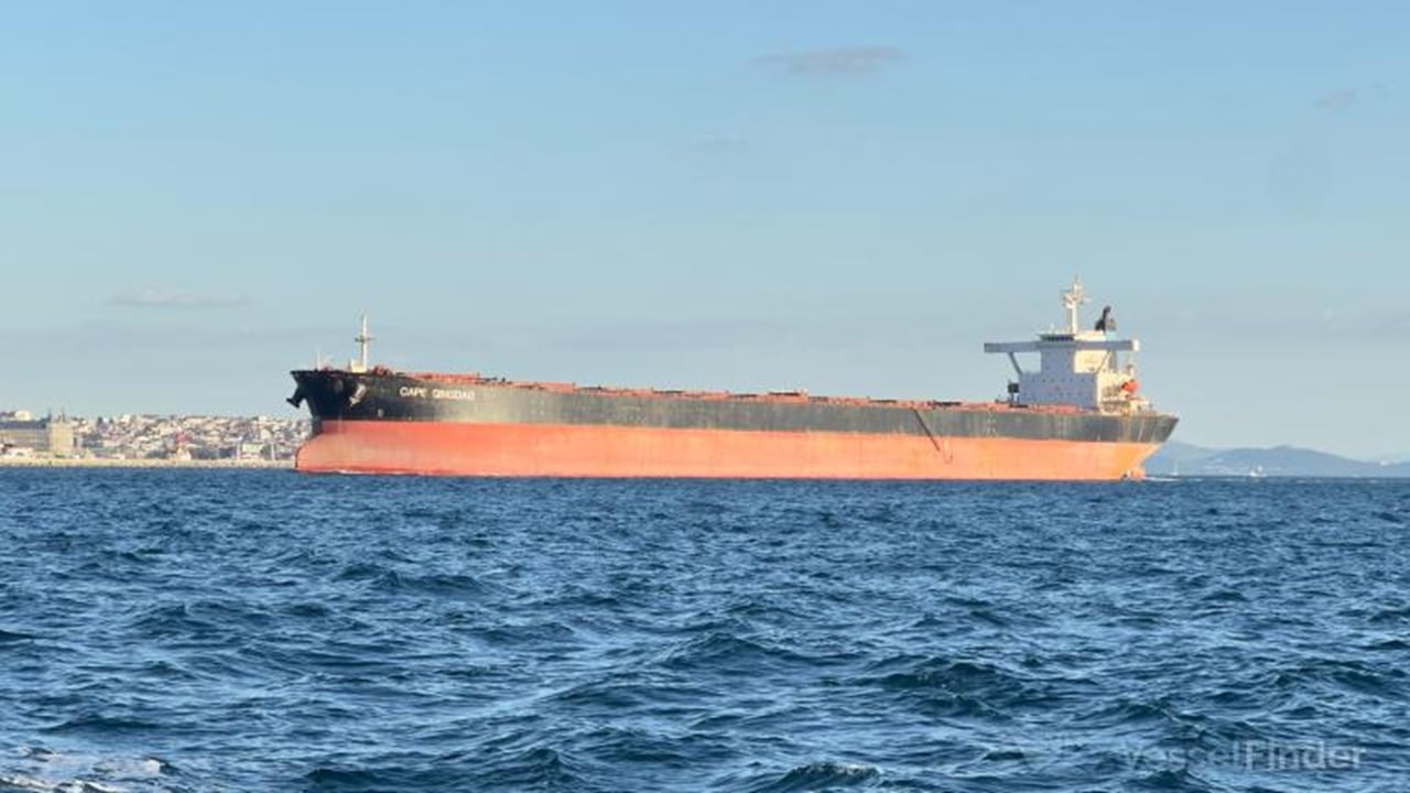 Cape Dao 船照(图源 Seatrade Maritime / Vesselfinder)